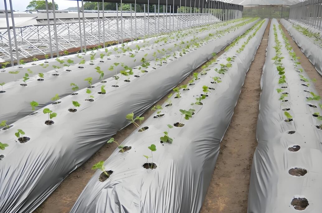 地膜用碳酸鈣磨粉機